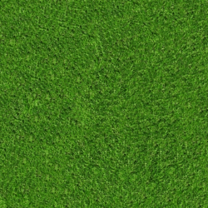 Synthetic Turf