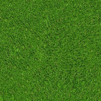 surg-fakegrass